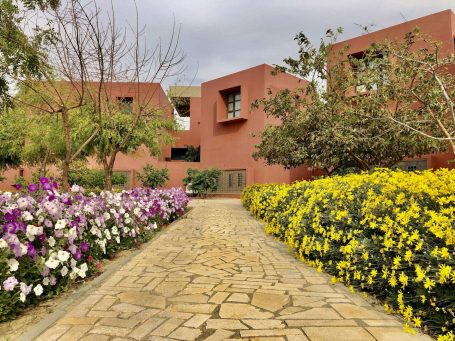Pflasterweg zwischen bunten Blumenbeeten und modernen Gebäuden.