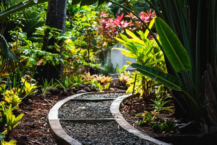 Ein geschlungener Steinweg führt durch einen üppigen Garten mit bunten Pflanzen.