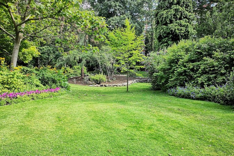 Grüner Garten mit Rasen, Blumenbeeten und üppigem Laubwerk.