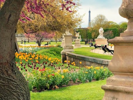 Blühende Blumenbeete im Park mit Blick auf den Eiffelturm im Hintergrund.