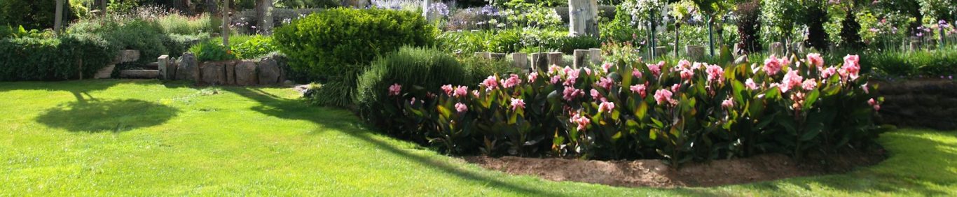 Bunte Blüten in einem gepflegten Garten mit grünem Rasen und Schatten.
