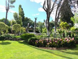 Blühender Garten mit bunten Blumen, Bäumen und strahlendem Himmel.