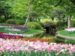 Blühender Garten mit bunten Tulpen und einem ruhigen Teich im Hintergrund.