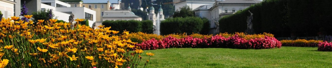 Bunte Blumenbeete mit gelben und rosa Blüten in einem gepflegten Garten.