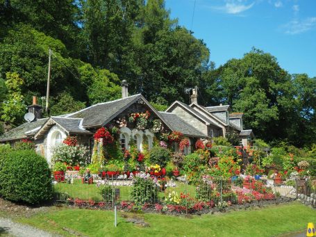 Farbprächtiger Garten um ein gemütliches Landhaus unter blauem Himmel.